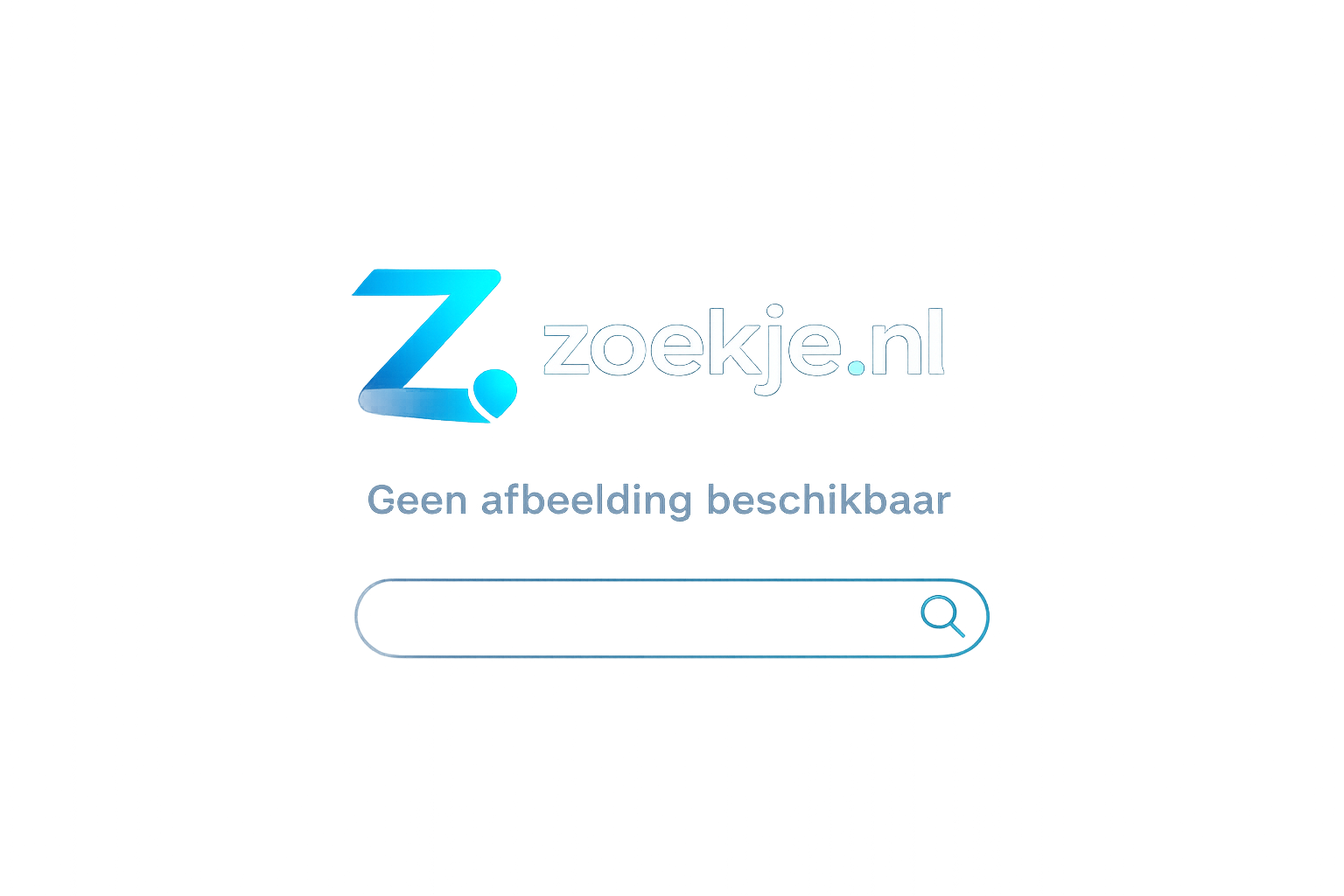 Zoek je een stratenmaker? Kosten & tips voor je oprit of terras